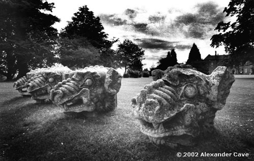 image of stone dragons